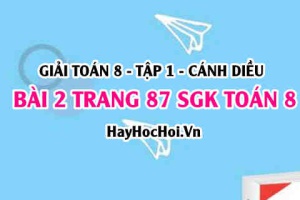 Giải bài 2 trang 87 Toán 8 Tập 1 SGK Cánh Diều